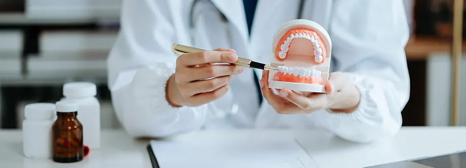 Estudiar Grado en Odontología